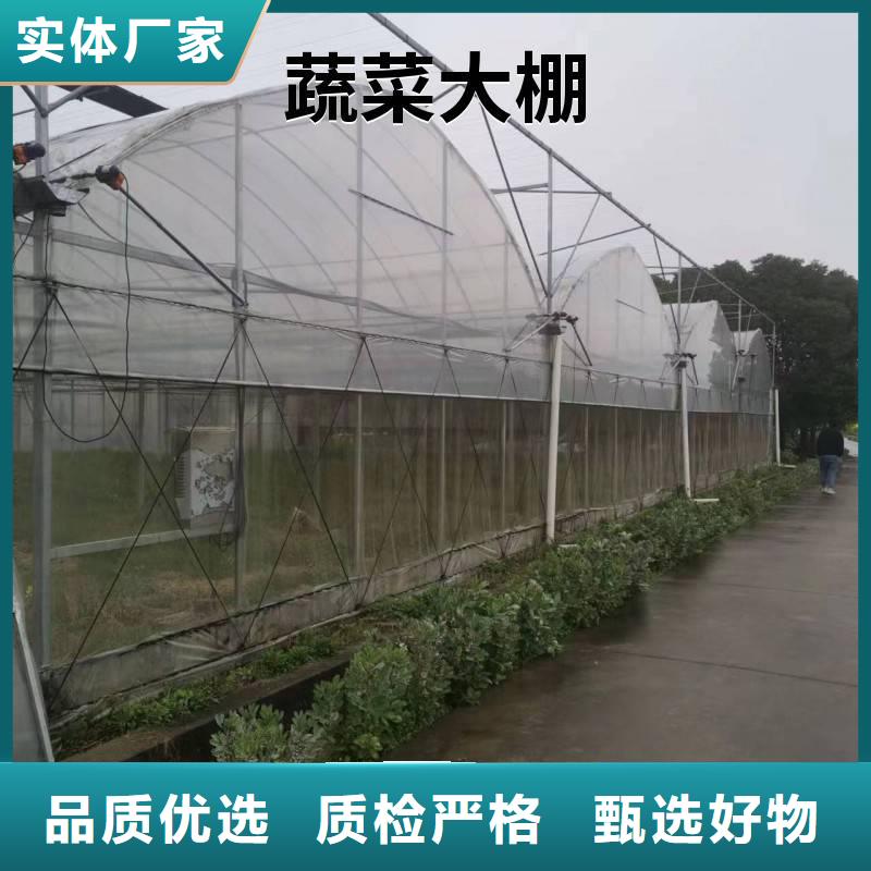 临朐县葡萄大棚专用膜欢迎电询2024乡村振兴计划