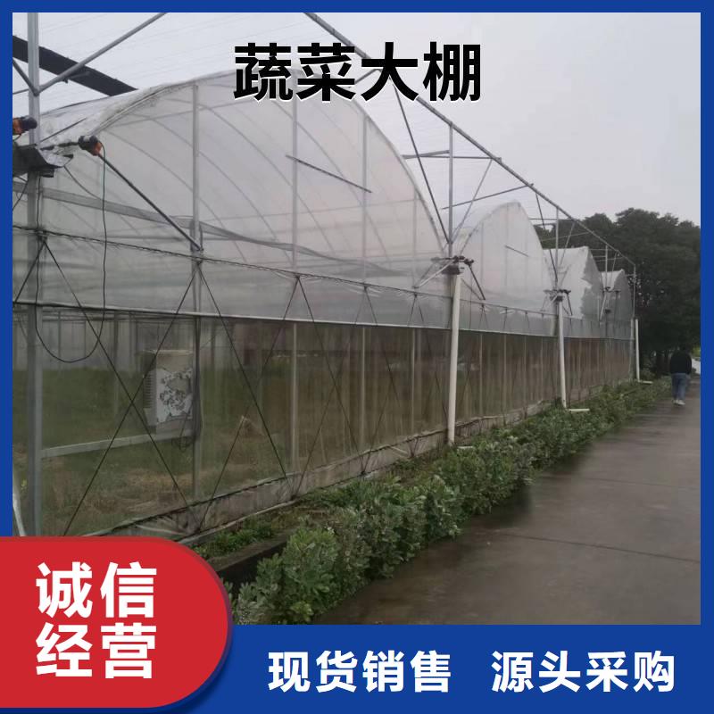 当地【金荣圣】蔬菜温室大棚钢管厂家批发欢迎电询2024-全国配送