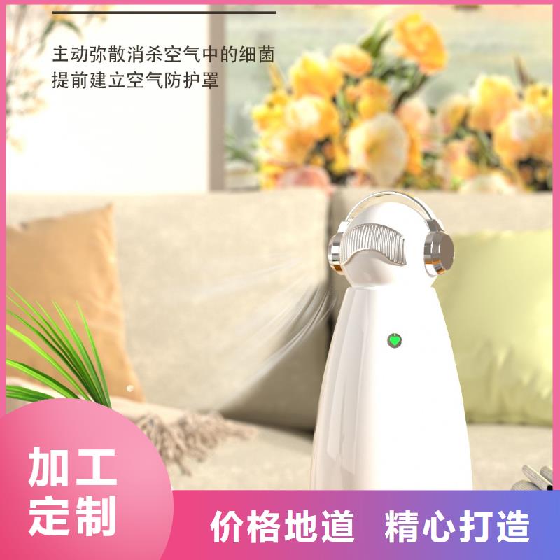 【深圳】艾森智控迷你空气净化器批发价格小白空气守护机