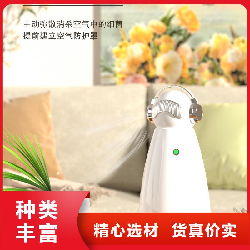 《艾森》【深圳】室内健康呼吸批发多少钱小白空气守护机