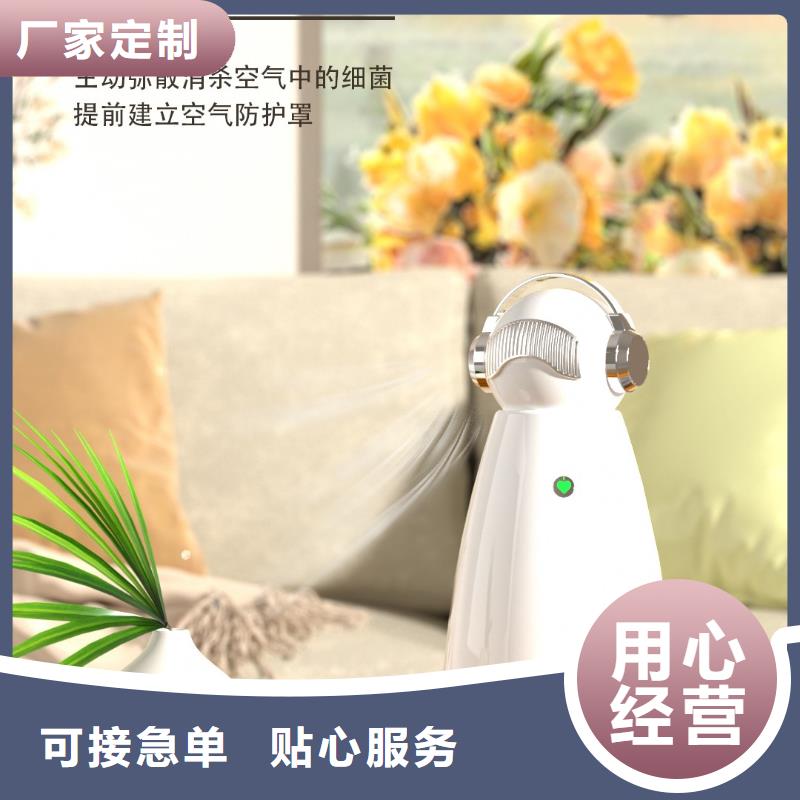 【深圳】迷你空气净化器批发多少钱小白空气守护机