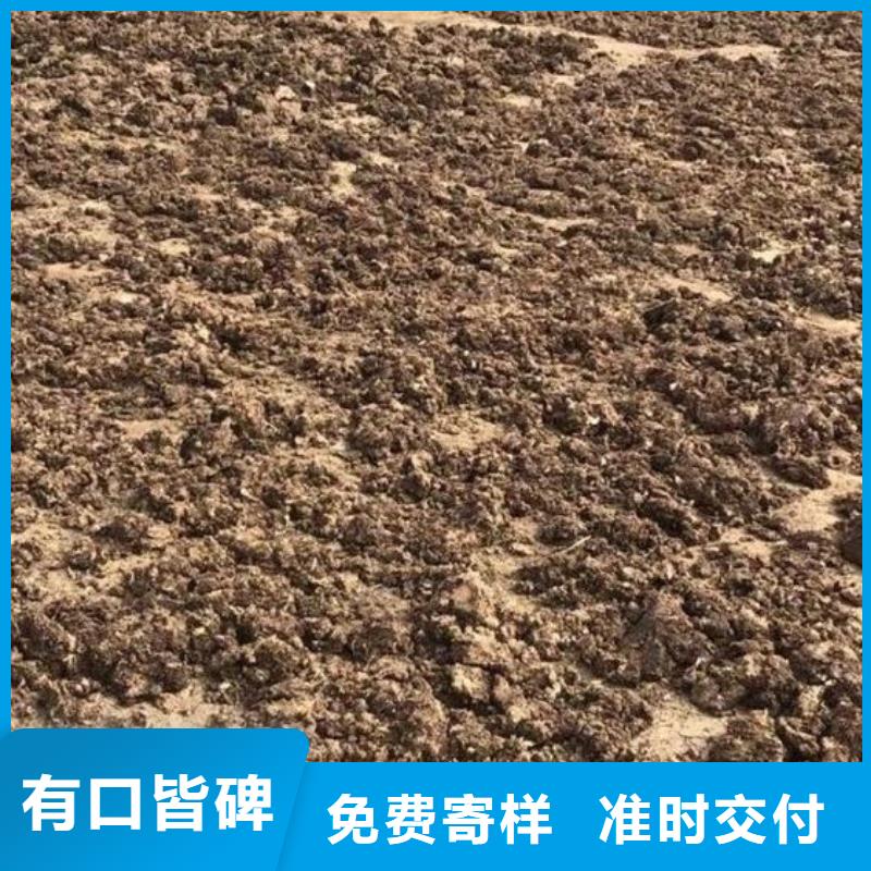 滁州订购市全椒干鸡粪施肥方法
