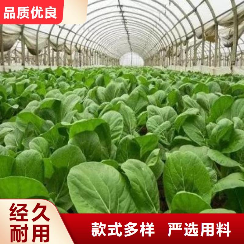 《香满路》临朐青州临清发酵有机肥性价比高