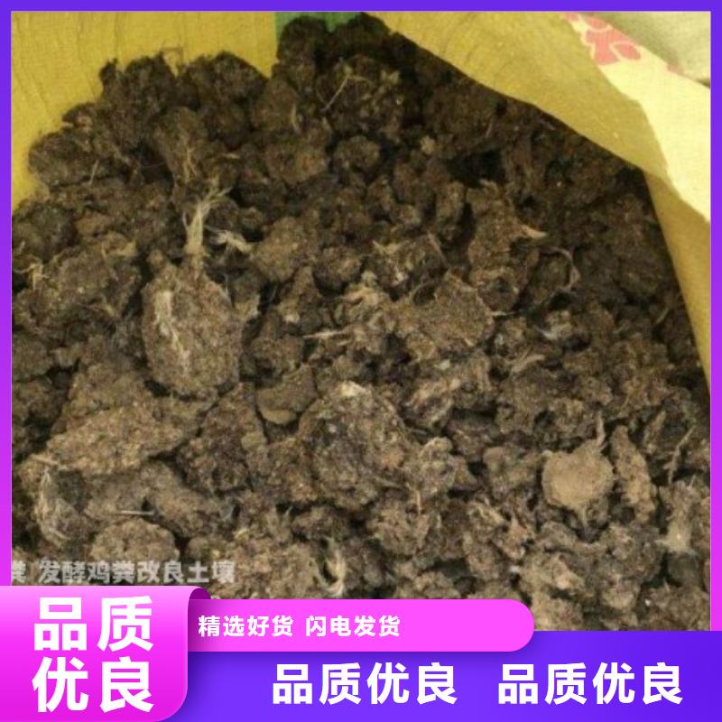 鸡粪【肥水鸡粪】厂家质量过硬