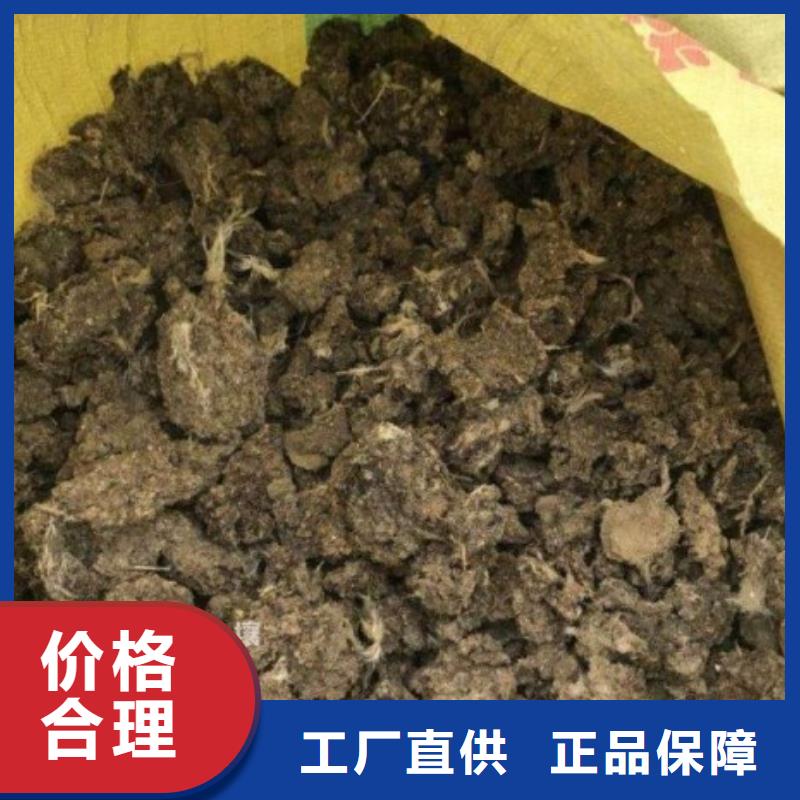 鸡粪【羊粪】一站式厂家