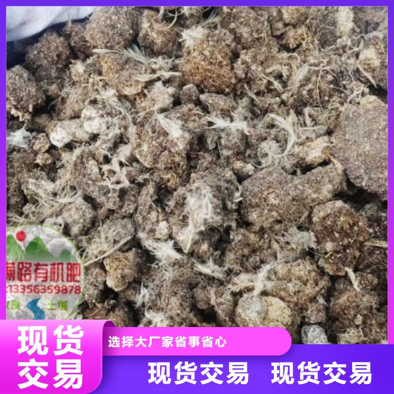 鸡粪告诉我哪里能买到