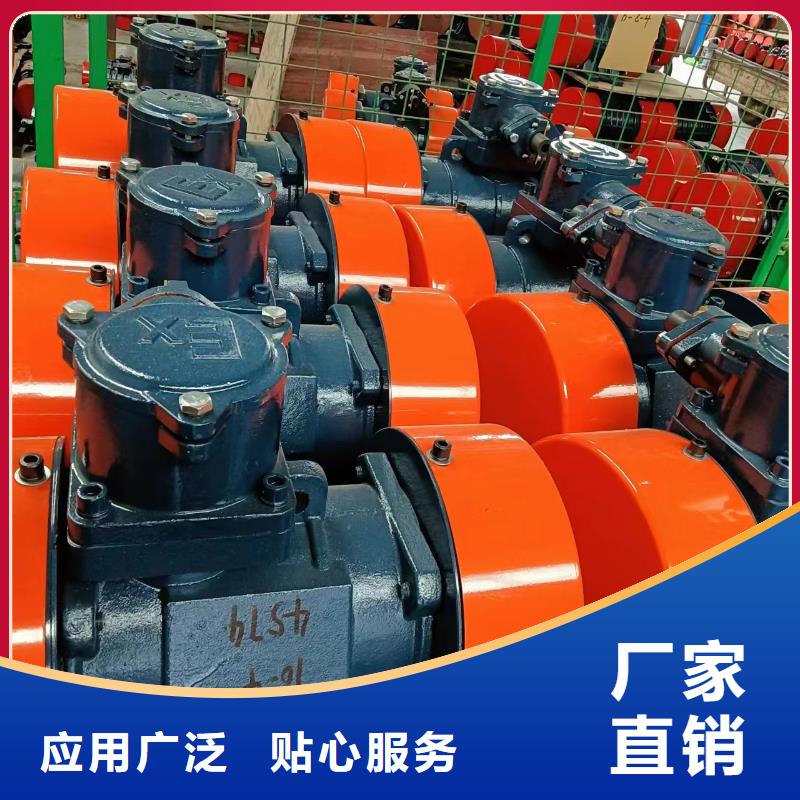青海省YZQ-10-4振动电机现货供应