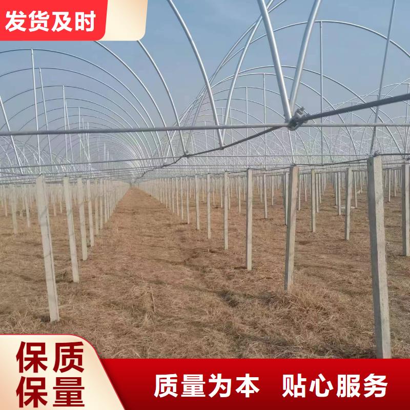 黄南咨询连栋玻璃温室包塑生产