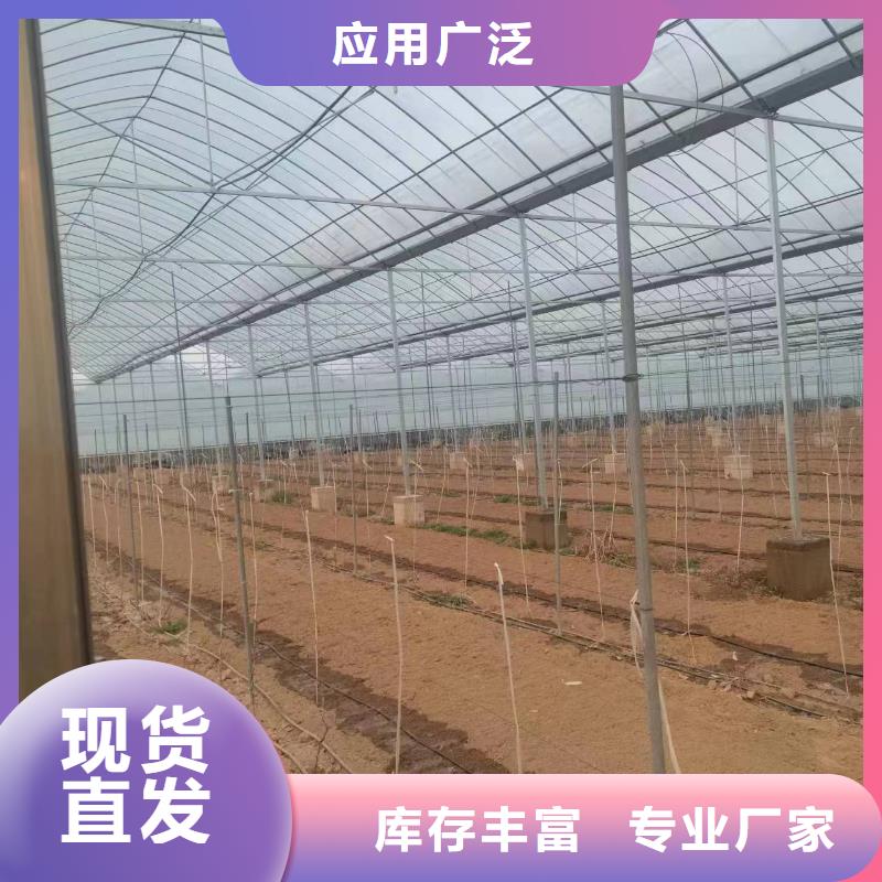 崇左经营玻璃温室草莓生产