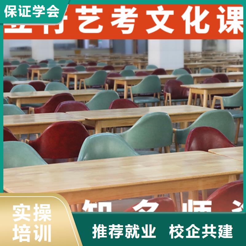 艺术生文化课培训补习有几所学校