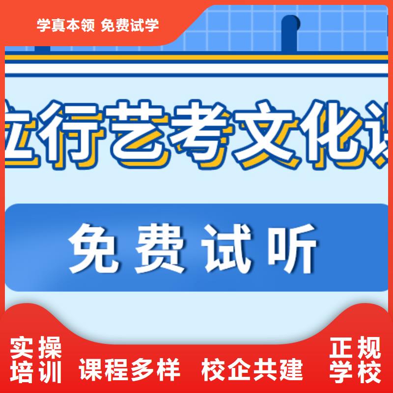 艺考文化课补习艺考一对一教学学真技术