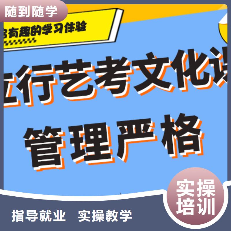 艺术生文化课【艺考培训机构】理论+实操