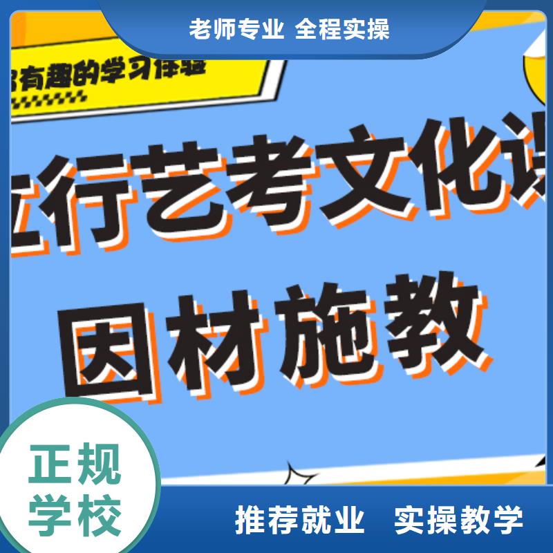 艺术生文化课高考复读班学真技术