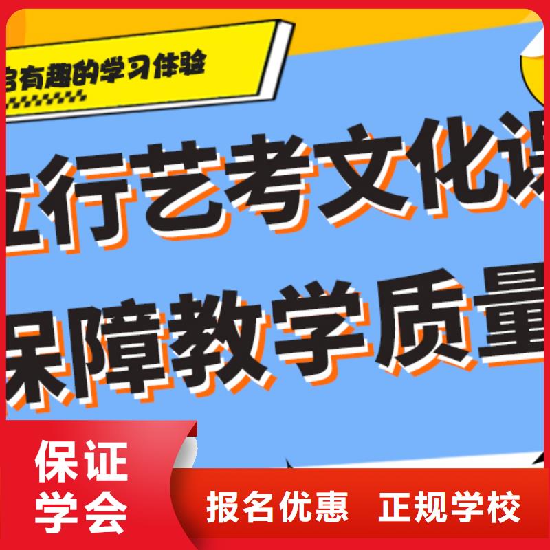 艺术生文化课艺考一对一教学师资力量强