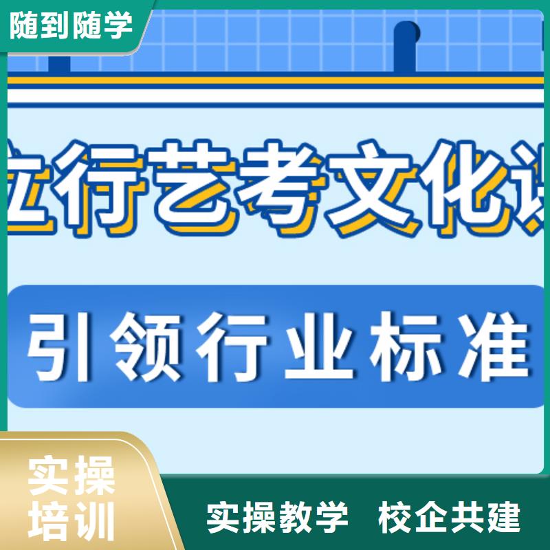 艺考生文化课,【高考冲刺补习】课程多样