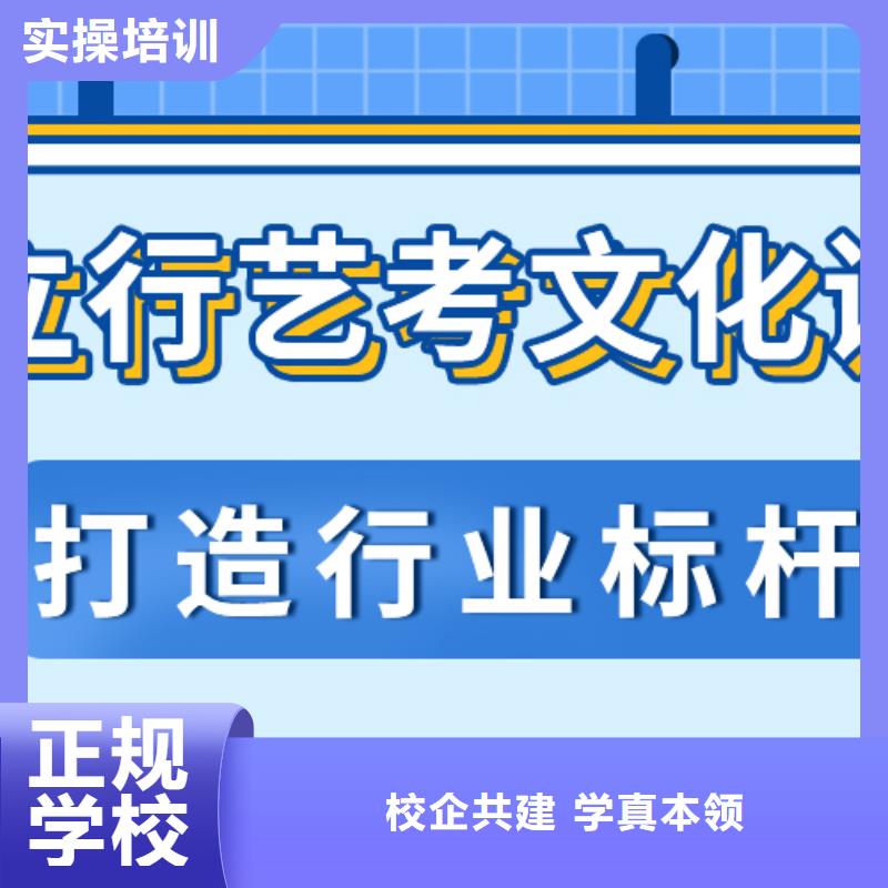 艺考生文化课冲刺艺术学校老师专业