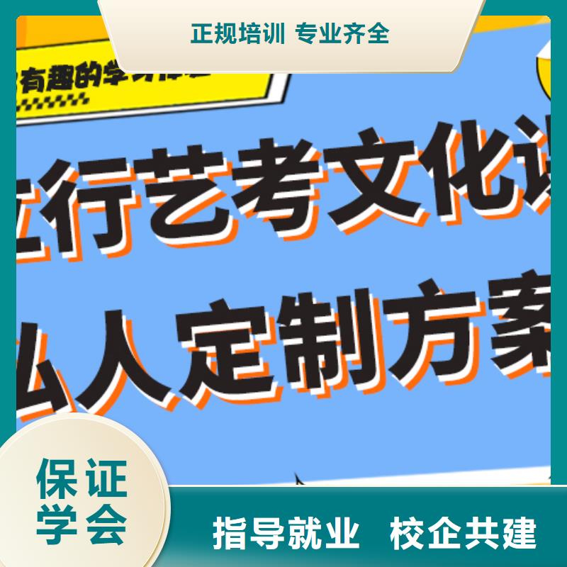 艺考文化课集训班高考冲刺补习老师专业