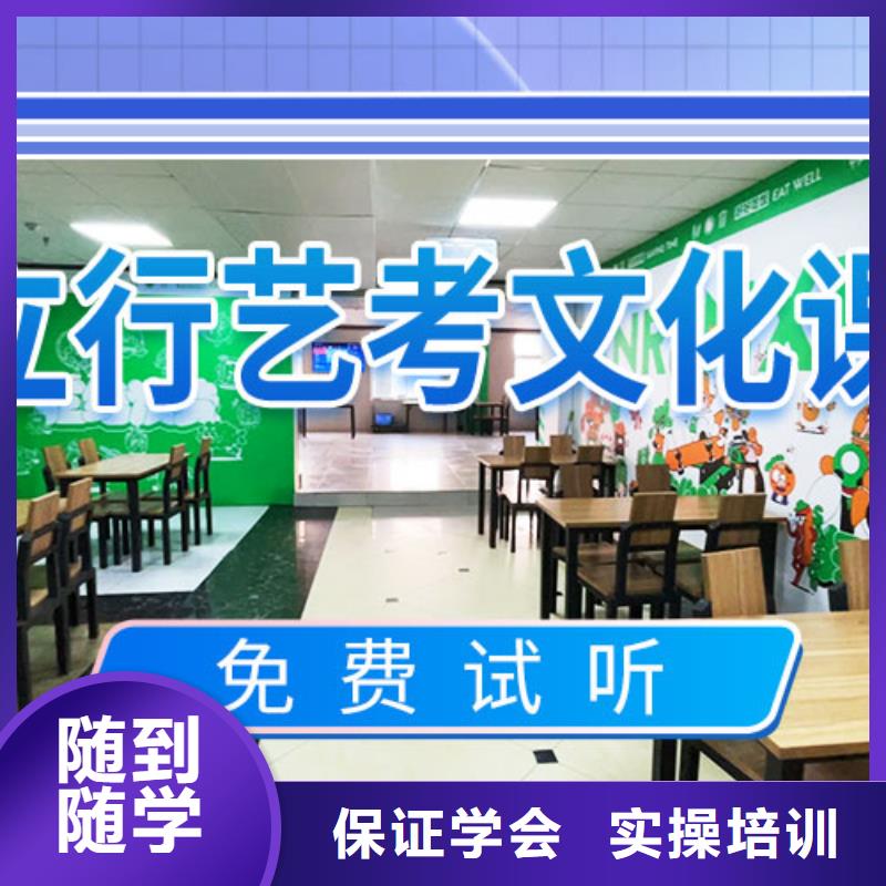 【艺考文化课集训】高考辅导技能+学历