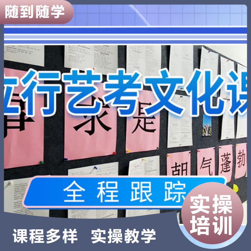 【艺考文化课集训】高考辅导技能+学历