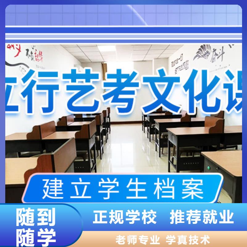 【艺考文化课集训】高考辅导技能+学历