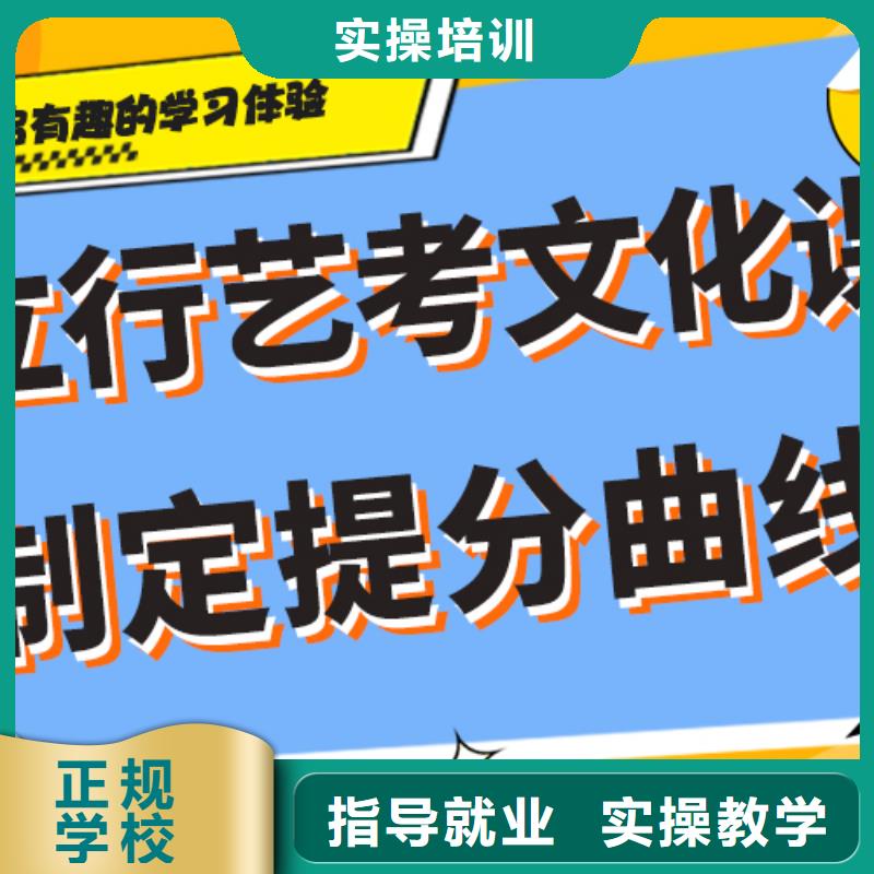 好不好艺术生文化课补习机构针对性教学