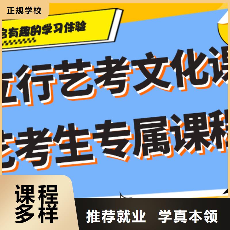 艺考生文化课补习机构哪个好针对性教学