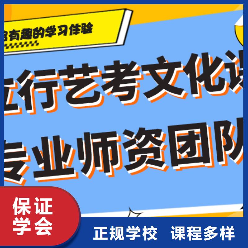 艺术生文化课培训学校哪里好艺考生文化课专用教材