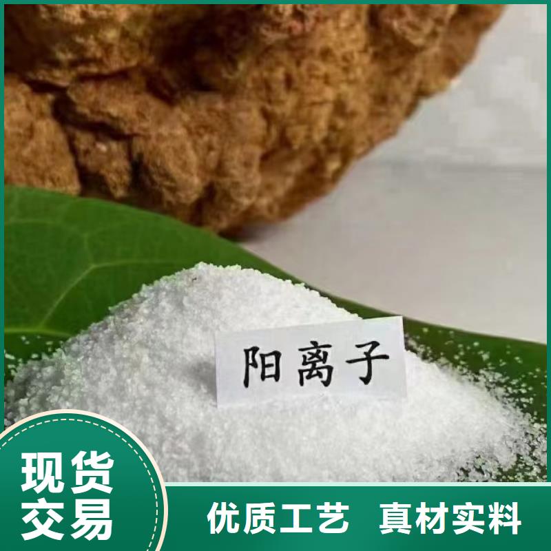 PAM阳离子质量过关