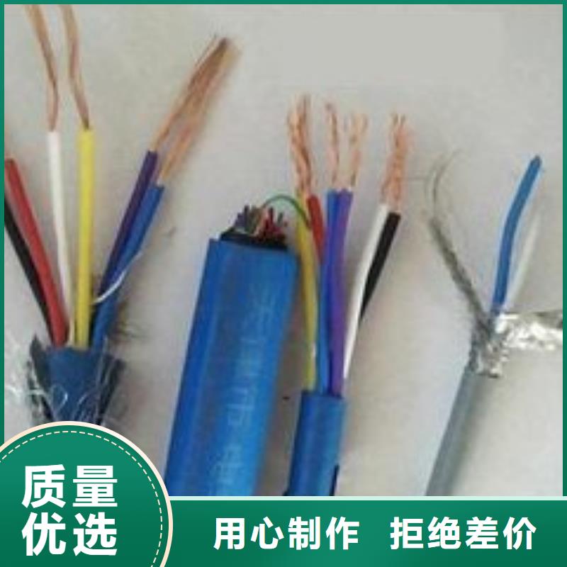【定制定做电线电缆PTYA23电缆专业厂家】