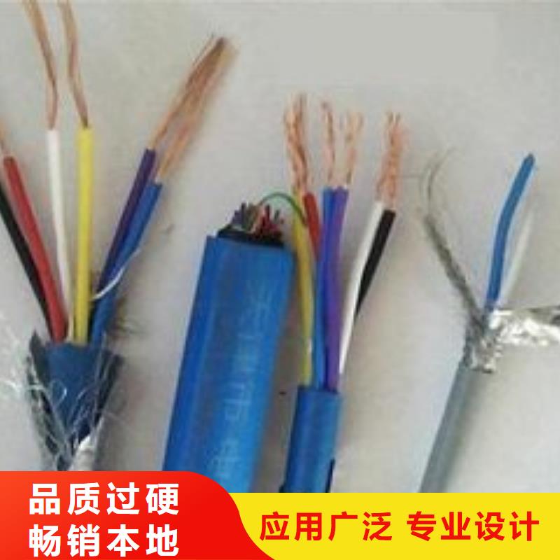 拥有多家成功案例电线电缆-PTYA23电缆厂家直销