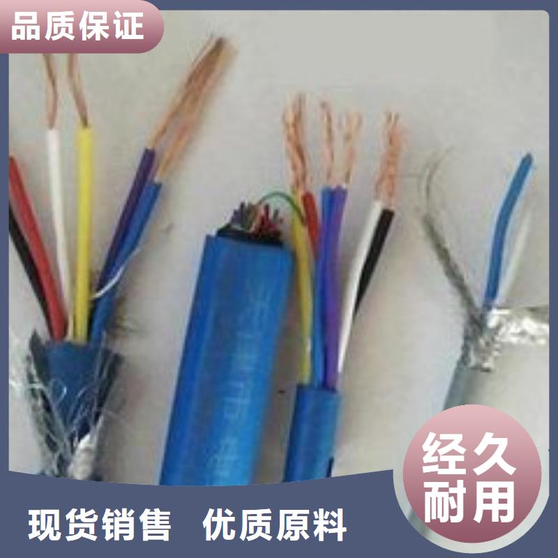【电线电缆】PTYA23电缆根据要求定制