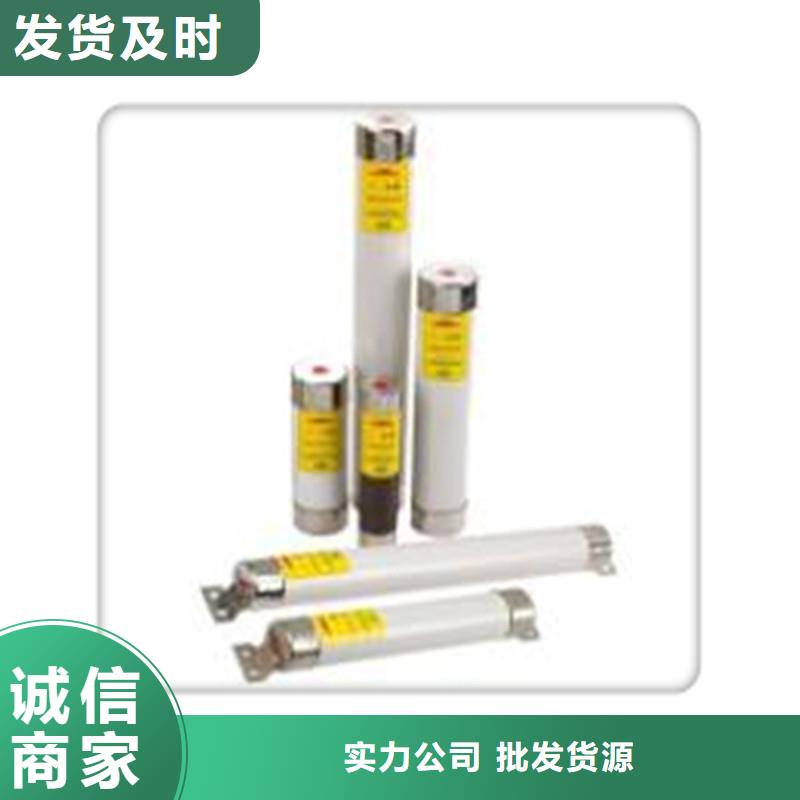 BRN-10/100A双管限流熔断器