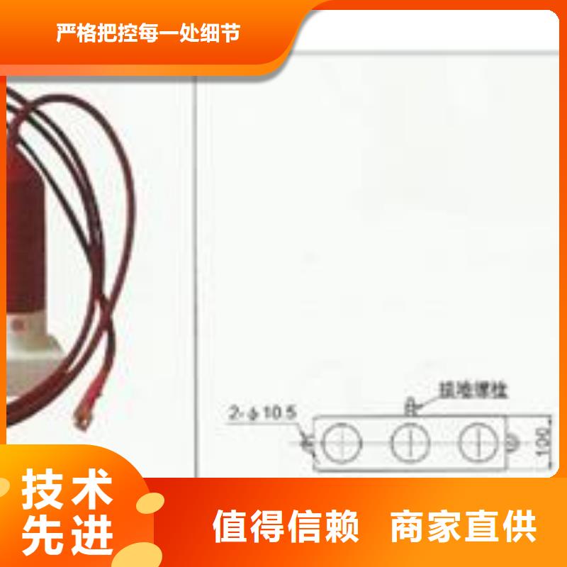 上海咨询JCQ4A避雷器放电计数器说明书