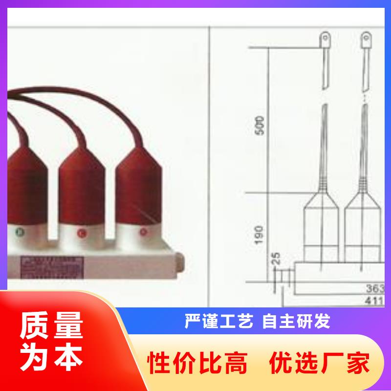 淮南定制JCQ3A-10/800避雷器放电计数器特征