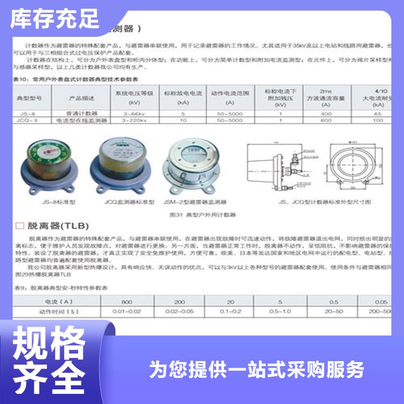 上海咨询JCQ4A避雷器放电计数器说明书