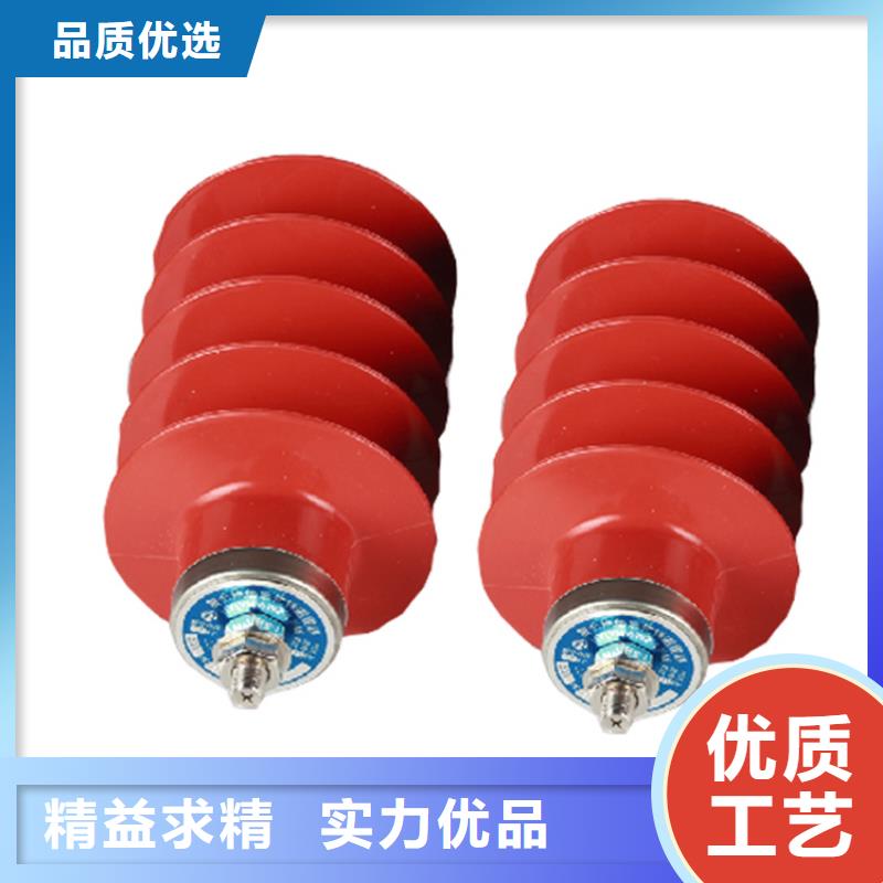 Y5WS-10/30陶瓷氧化锌避雷器