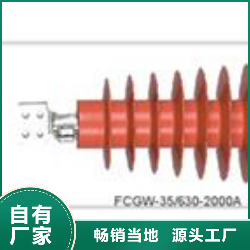 CWW-40.5/4000A-4陶瓷高压托管