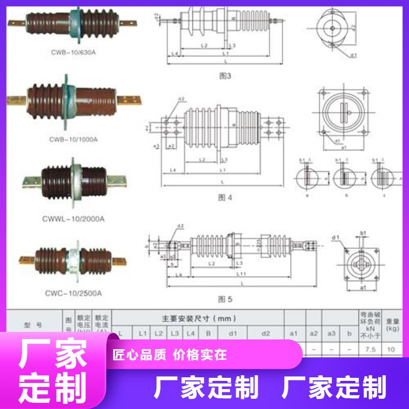 CWW-40.5/3000陶瓷穿墙套管