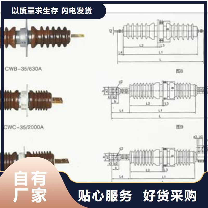 FCWB-35/1000澄迈县高压穿墙套管