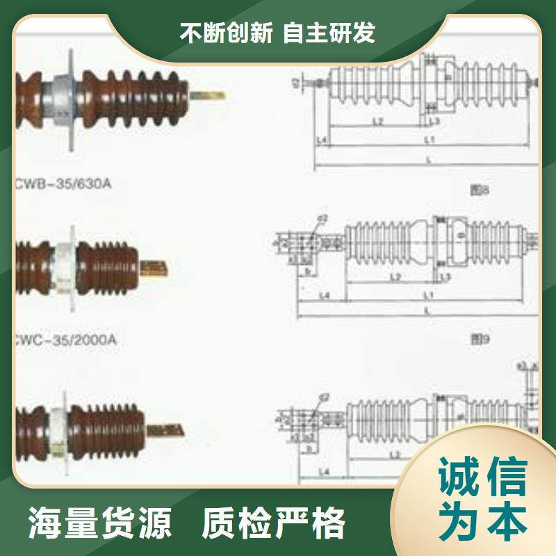 FCGW-40.5/630复合穿墙套管樊高