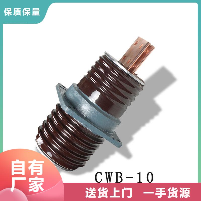 CWB-40.5/4000陶瓷套管规格型号全《樊高》