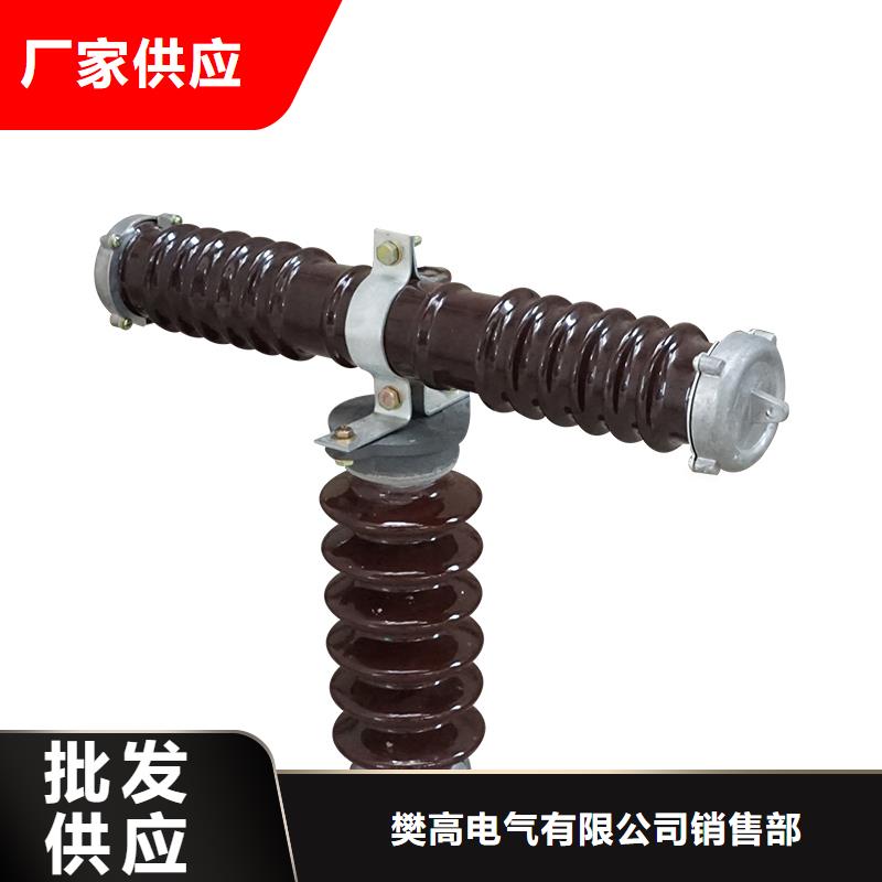 PD4-6KV/100A跌落式熔断器