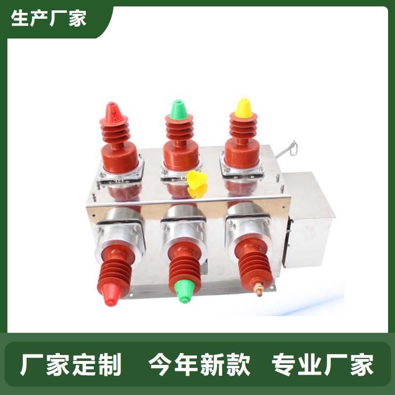 ZWM9-12/630-20永磁智能断路器厂家