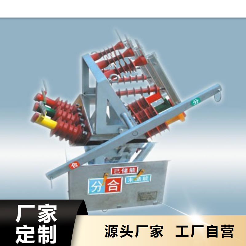樊高ZW8M-12/630-25厂家-源厂直接供货-樊高电气有限公司销售部