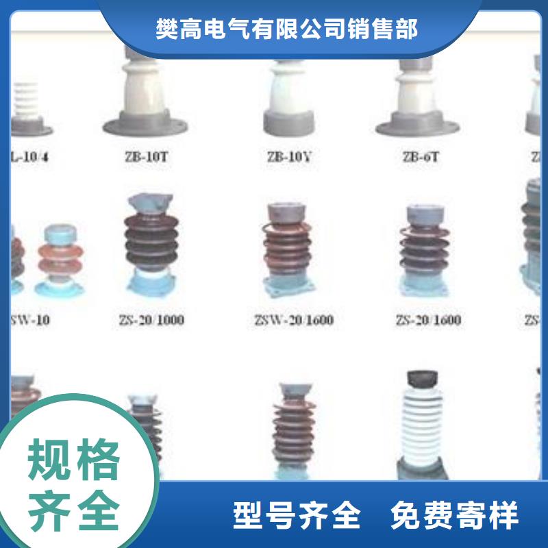 ZJ-10KV/65*140环氧树脂绝缘子