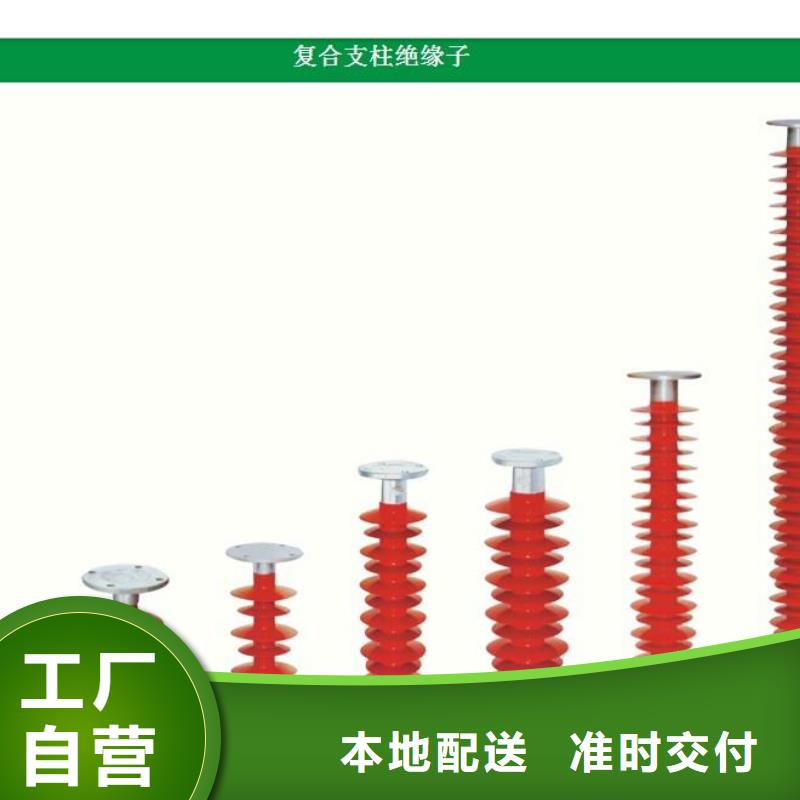 ZJ-35KV/120*380环氧树脂绝缘子