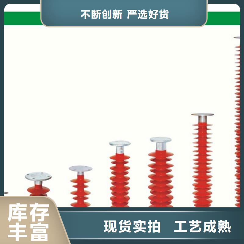 FXBW1-110/70绝缘子樊高