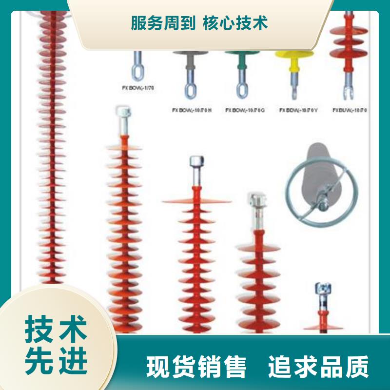 FZSW3-24/8L复合支柱绝缘子