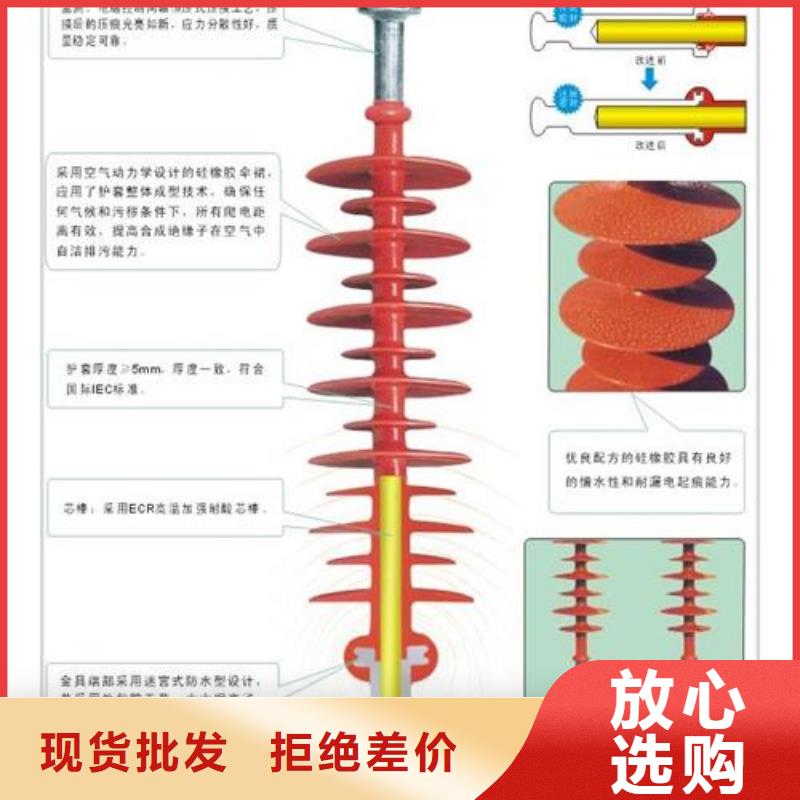 ZN-20/30陶瓷绝缘子樊高电气