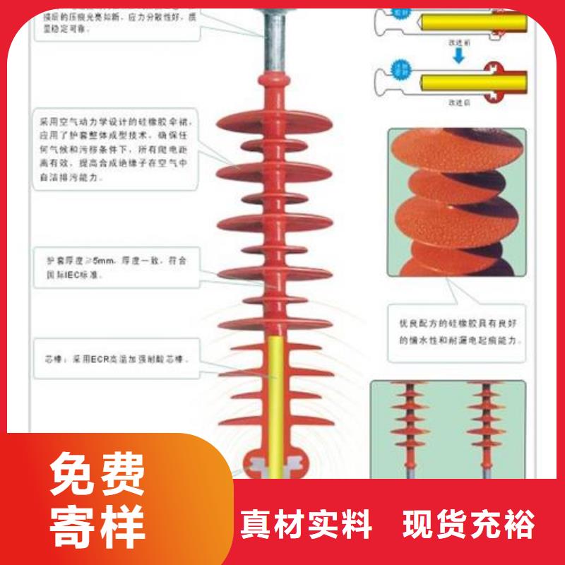 绝缘子真空断路器敢与同行比服务